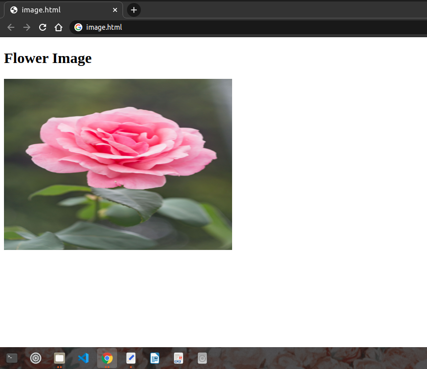 Displaying Images in HTML